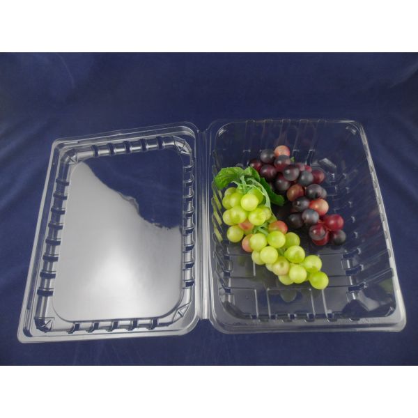 Buy PET Recyclable Clamshell Packaging Box Plastic ISO9001 at wholesale prices