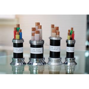 HOT IEC Standard 33kv XLPE Coated Steel Wire Armoured Cable for Construction Low