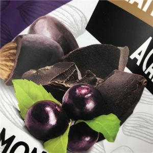 Wholesale Price Custom Printing Zipper Closure Dried Food Packaging Bag Moisture