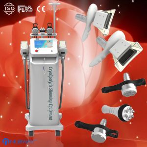 China 1800W Cryolipolysis Fat Freeze Slimming Machine / Body Sculpting / Weight Losing on sale