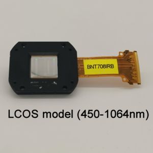 Digital Silicon / Analog Silicon Liquid Crystal Spatial Light Modulators SLMS