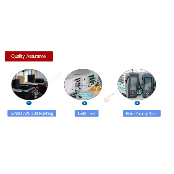 12 Fiber MPO Female Connector Patch Cord OM4 50/125um Elite Loss 0.35dB Purple Polarity A