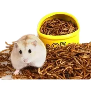 Quality Sustainable Brown Snack Animal Feed With Mild Smell for sale