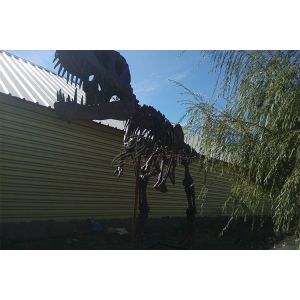 Vivid Complete Dinosaur Fossil Skeleton Bones For Science And Technology Museum