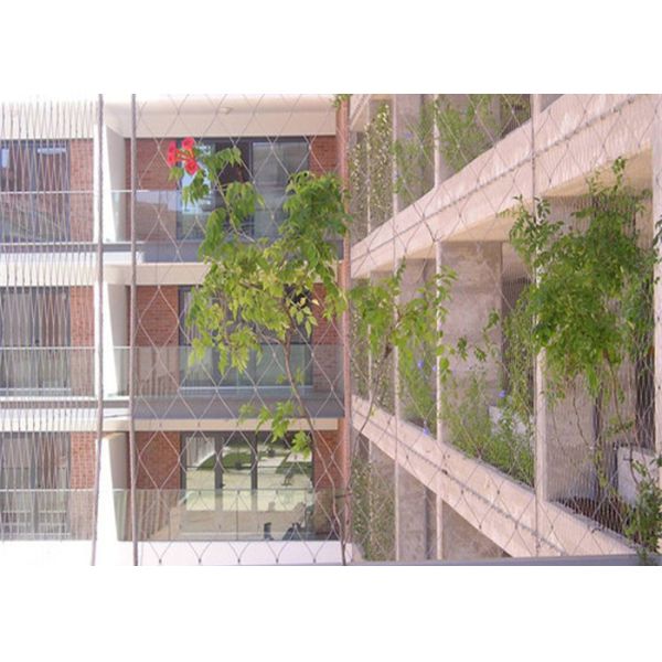 Buy Plant Climbing Green Wall Stainless Steel Cable Mesh 3.2mm at wholesale prices