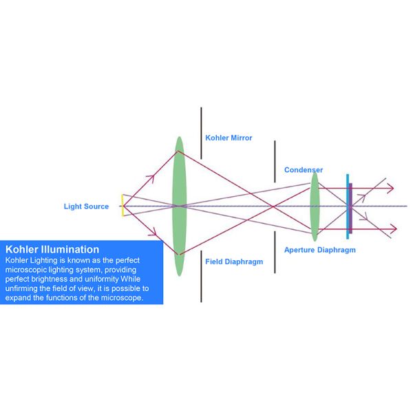 OPTO EDU A13.1096 Inverted Metallurgical Microscope Research Level