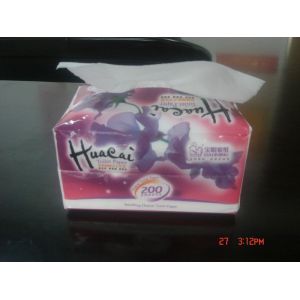 Quality Plastics Bag Lady Travel Pack Facial Tissue Paper 2ply*100 sheets/box for sale