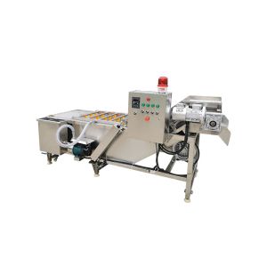 Quality Air Bubble SS304 3.75KW Ozone Fruit Washing Machine for sale