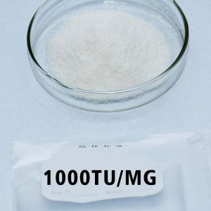 standardized papain powders and liquids Applied To Protein Hydrolysis And