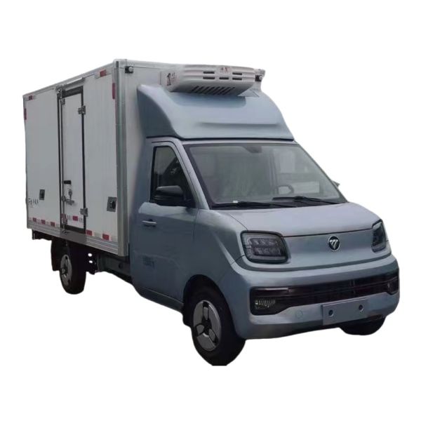 Small Freezer Refrigerated Truck With Cargo Box Equipped With Side Door and