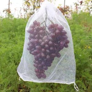 Free Sample Plastic Agriculture Fruit Protection Bags for Onion and Vegetable