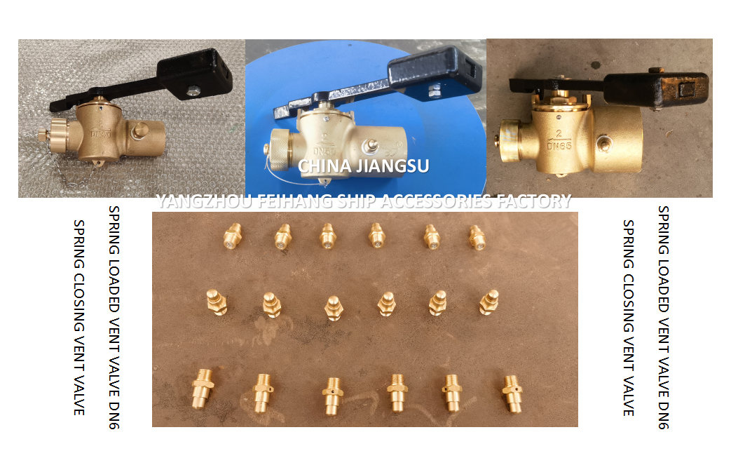 DN6 Spring Loaded Vent Valve with Thread M13 Connection Compliant with CB/T3778
