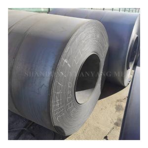 Medium Carbon Steel Seamless Sheet Coils with Width of 50-1550mm and Tolerance