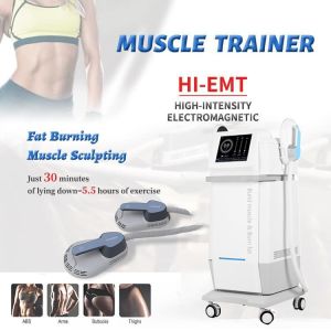 300W - 5000W Body Sculpt Machine ， Body Sculpting Equipment 3 - 200HZ