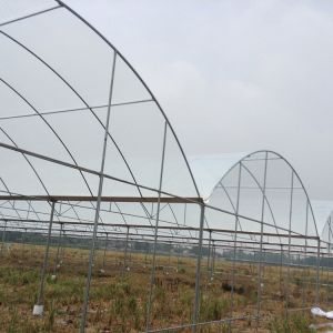 Rain Shelter Tunnel Plastic Greenhouse 80mic 100 Micron 200micron