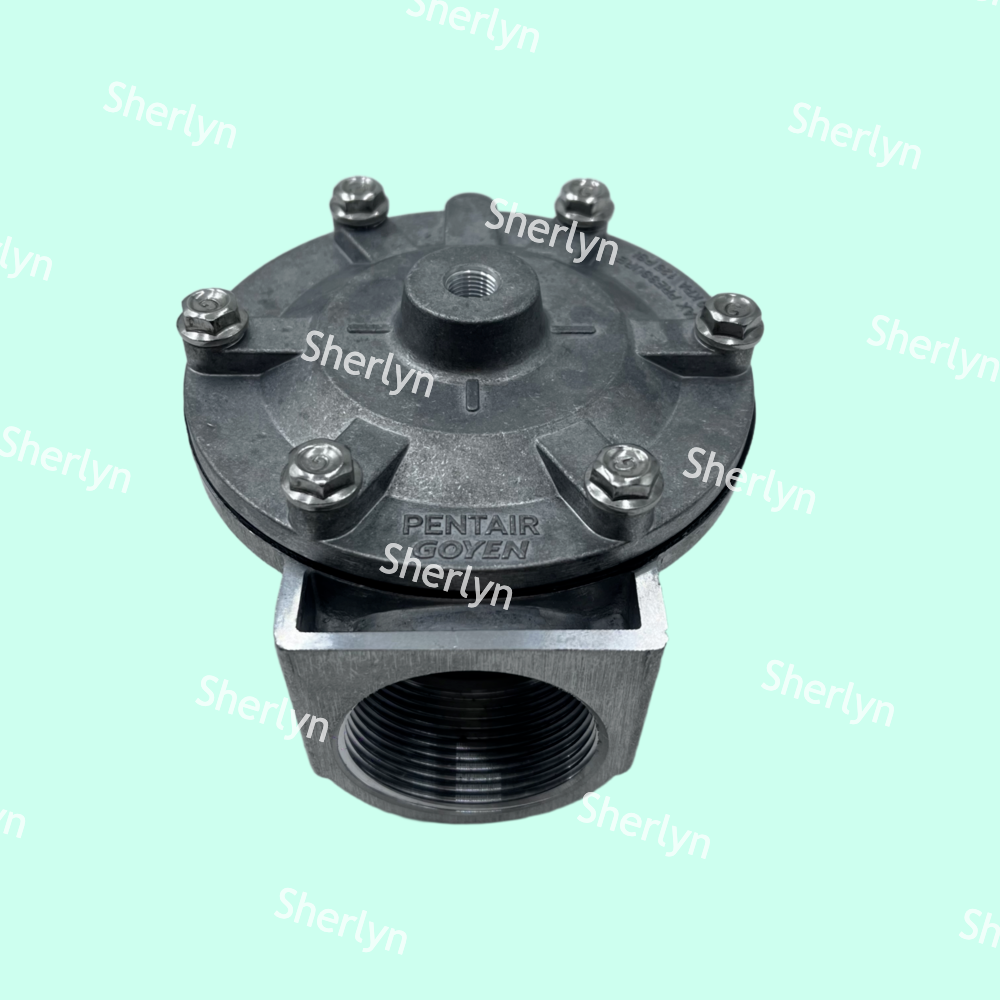 Quality GOYEN Pulse Valve RCA35T RCA32T 1.5-inch Electromagnetic Pulse Valve Spray Valve Pneumatic Valve for sale