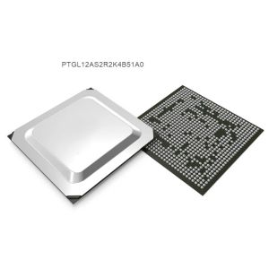 PTGL12AS2R2K4B51A0