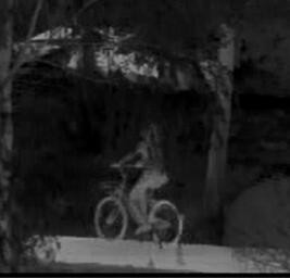 240mm / 60mm Dual - FOV Thermal Security Camera , Infrared Thermal Imaging