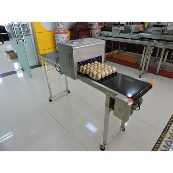 Small Size Egg Marking Equipment Customize Printer With Clean Maintenance Equipment