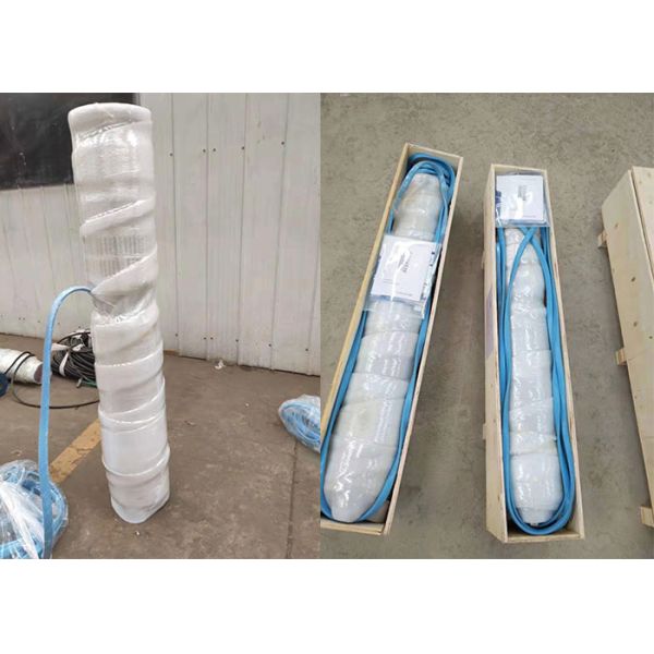 ABS 100 hp SS316L Sea Water Lifting Pompe Submersible