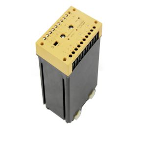 Double Channel Vehicle Loop Detector Inductive 10 Grade Sensitivity 12 Month