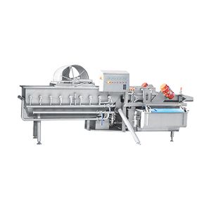 50HZ 4KW 1000KG/H Vegetable Vortex Cleaning Machine