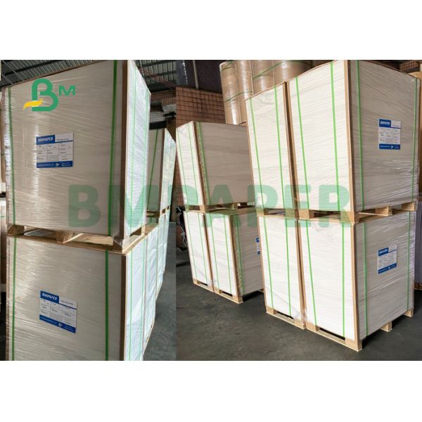 210+15g PE Coated Cup Paper For Coffee Shop 700mm 900mm Good Brightness