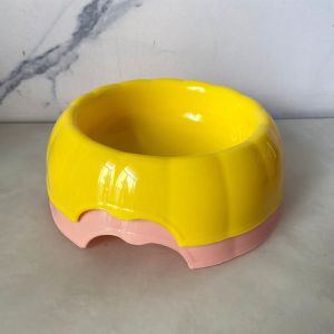 Stylish Pumpkin Pet Bowls - Enhancing Modern Pet Spaces