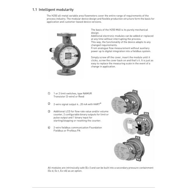 KROHNE H250/RR/M40/ESK-Ex ,S/N:E250000000692411 Variable Area Flow Meter