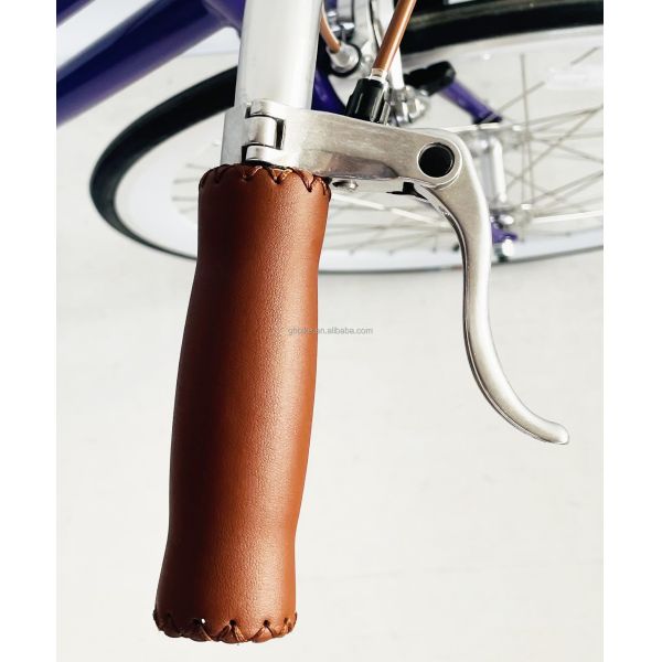 NO Fork Suspension 700C Cr-MO Steel Women Frame Inner 2 Speed Lady City Bike