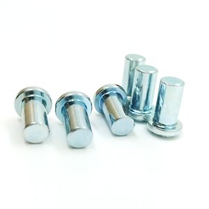 High Strength 8.8 Grade Carbon Steel Blind Rivet Nut with Waterproof and