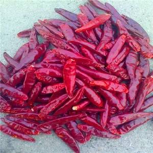 100g Spicy Loose Dried Tianjin Red Chilies