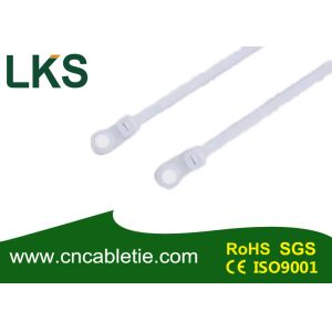High Quality Mounted head cable ties