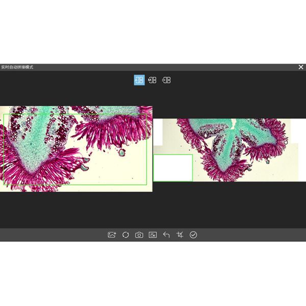 OPTO-EDU A59.4971 Auto Focus EDF 4K HDMI USB LAN Digital Microscope Camera 8.3M Flourescent