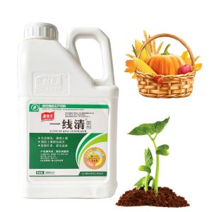 Seaweed Extract Soil Conditioner Fertilizer Provide Nutritions And Healthy For
