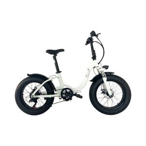 LCD Display 350w 36v 20 Inch Fat Tire Electric Bike