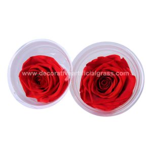 Ecuador Preserved Rose Head Long Life Roses For Party Event Decoration
