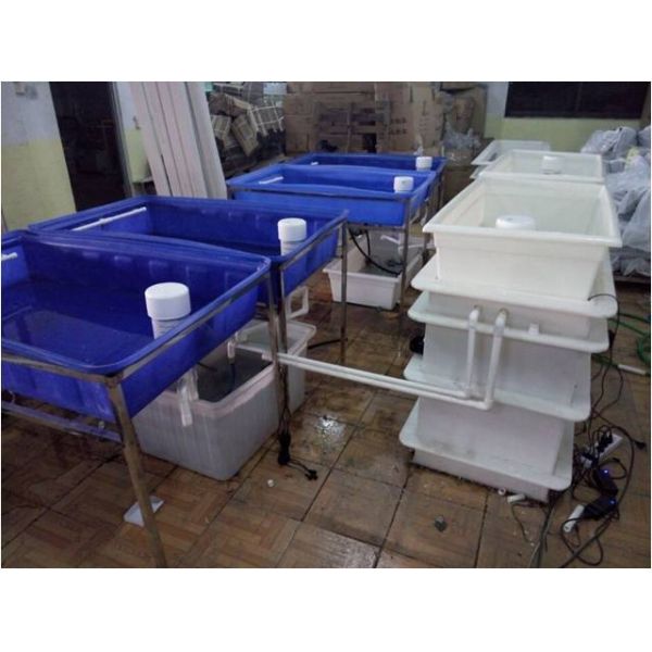 Aquaponics Greenhouse Hydroponics Growing System Fish Tank For Fish And Vegetable