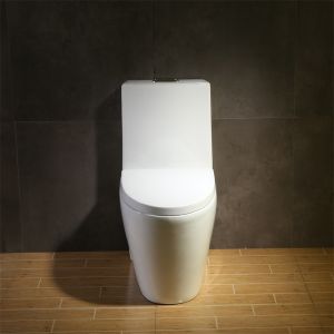 Two Flush Modes Premier Elongated Toilet Water Saving Effect