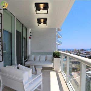 Used For Home/Hotel Hot Sale Nordic Style Black Iron Ceiling Light