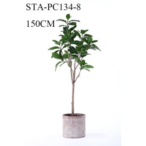 Low - Maintance Artificial Rubber Tree Evergreen Plant Modern Lifestyle