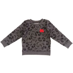 Boys and Girls Pullover Customized Cotton Kid Hoodie with Regular Sleeve Style