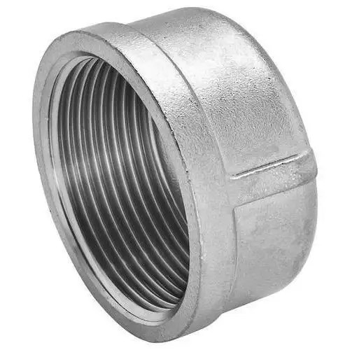 Buy Petroleum Stainless Steel Pipe Plug Cap With Threaded Connection at wholesale prices