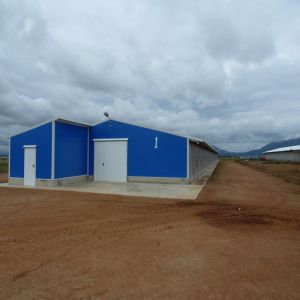 Fireproof Steel Poultry House with Automated Ventilation System