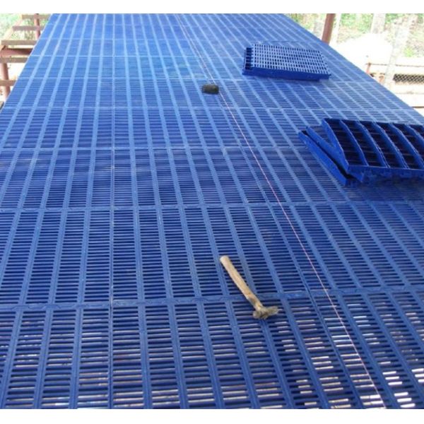 Blue Color PVC / PP Plastic Slatted Floor Poultry Plastic Flooring CE ISO Certification
