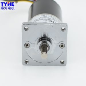 Rhino Gb37 Brushless DC Gear Motor 6Rpm Micro 18V 12V High Rpm DC Motor 800rpm