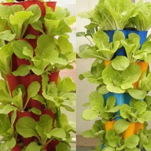 Film Greenhouse Hydroponic System Package Gross Weight 2000.000kg Customized