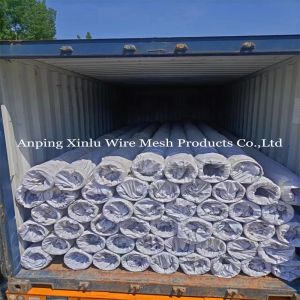 Threaded NPT Stainless Steel Strainer Tube with Electrolytic Polishing/Pickling