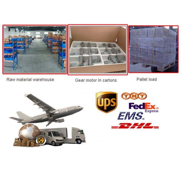 gear motor packing and shippment