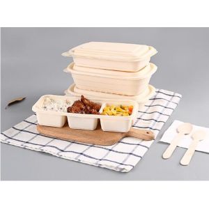 Take Away Fast Food, Compartment Packing Box, Containers, Starch Biodegradable,